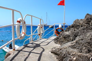 米兰体育app官网-海湾者未来青训体系逐渐完善，海湾技术